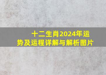 十二生肖2024年运势及运程详解与解析图片