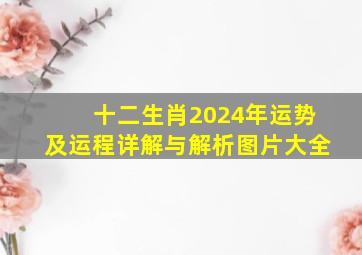 十二生肖2024年运势及运程详解与解析图片大全