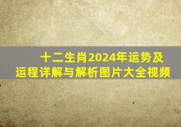 十二生肖2024年运势及运程详解与解析图片大全视频