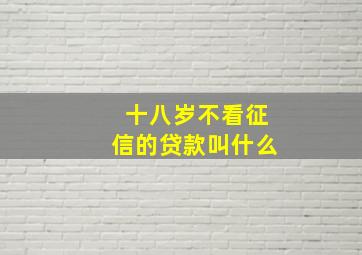 十八岁不看征信的贷款叫什么