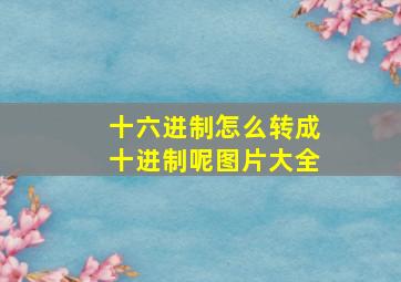 十六进制怎么转成十进制呢图片大全