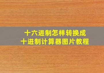 十六进制怎样转换成十进制计算器图片教程