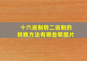 十六进制转二进制的转换方法有哪些呢图片