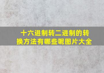 十六进制转二进制的转换方法有哪些呢图片大全