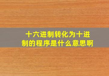 十六进制转化为十进制的程序是什么意思啊