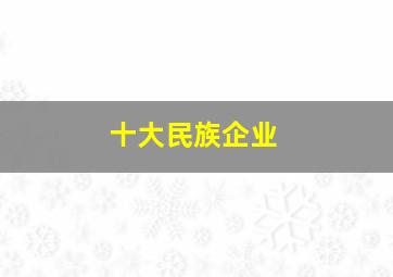 十大民族企业