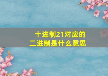 十进制21对应的二进制是什么意思