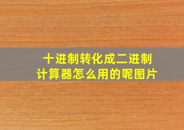 十进制转化成二进制计算器怎么用的呢图片