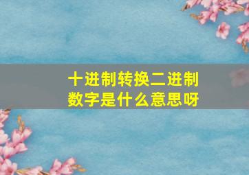 十进制转换二进制数字是什么意思呀