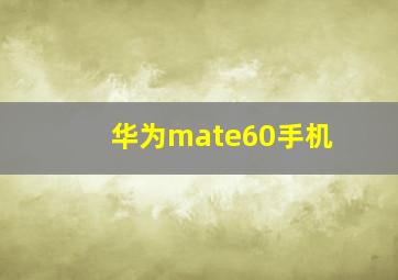 华为mate60手机