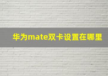 华为mate双卡设置在哪里