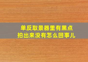 单反取景器里有黑点拍出来没有怎么回事儿