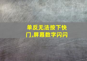 单反无法按下快门,屏幕数字闪闪