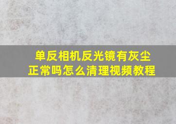 单反相机反光镜有灰尘正常吗怎么清理视频教程