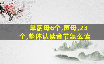 单韵母6个,声母,23个,整体认读音节怎么读