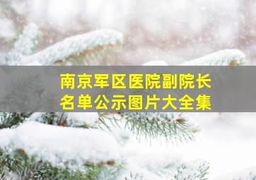 南京军区医院副院长名单公示图片大全集