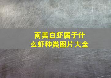 南美白虾属于什么虾种类图片大全