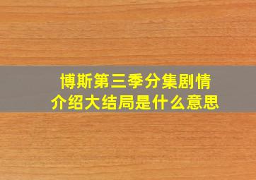 博斯第三季分集剧情介绍大结局是什么意思