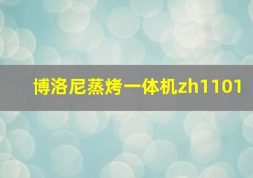 博洛尼蒸烤一体机zh1101