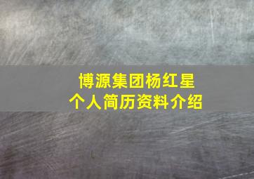 博源集团杨红星个人简历资料介绍