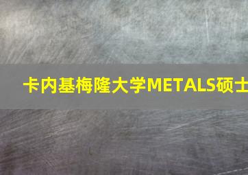 卡内基梅隆大学METALS硕士