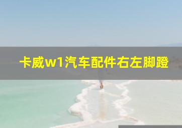 卡威w1汽车配件右左脚蹬