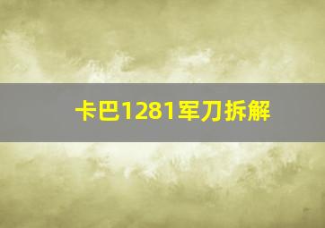 卡巴1281军刀拆解