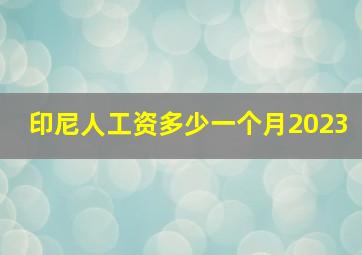 印尼人工资多少一个月2023