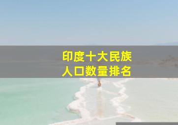 印度十大民族人口数量排名