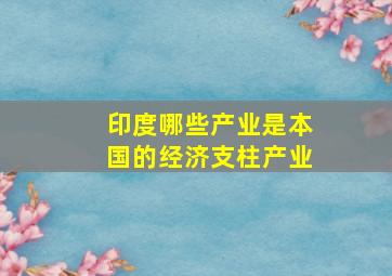 印度哪些产业是本国的经济支柱产业