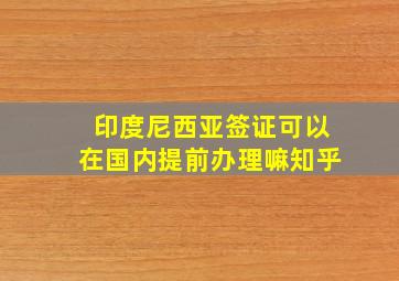 印度尼西亚签证可以在国内提前办理嘛知乎