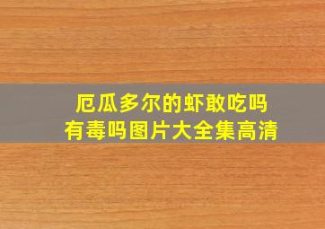 厄瓜多尔的虾敢吃吗有毒吗图片大全集高清