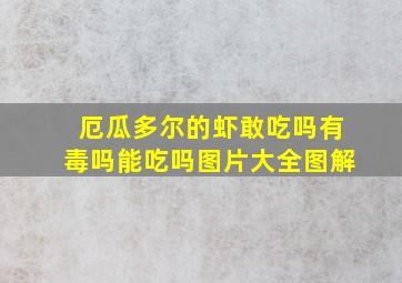 厄瓜多尔的虾敢吃吗有毒吗能吃吗图片大全图解