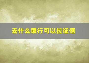 去什么银行可以拉征信