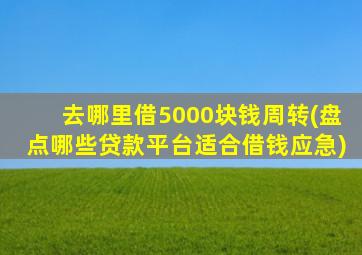 去哪里借5000块钱周转(盘点哪些贷款平台适合借钱应急)