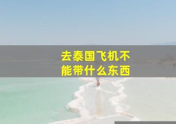 去泰国飞机不能带什么东西