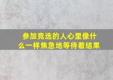 参加竞选的人心里像什么一样焦急地等待着结果