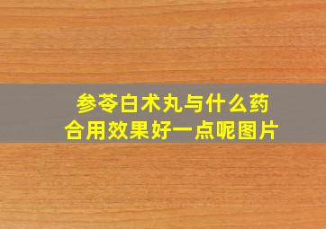 参苓白术丸与什么药合用效果好一点呢图片