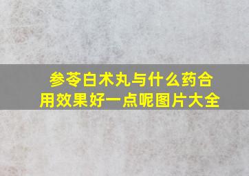 参苓白术丸与什么药合用效果好一点呢图片大全