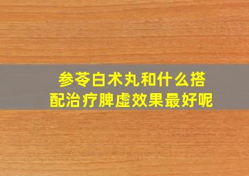 参苓白术丸和什么搭配治疗脾虚效果最好呢