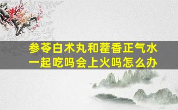 参苓白术丸和藿香正气水一起吃吗会上火吗怎么办