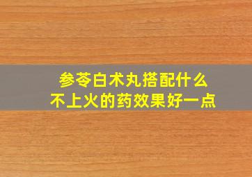 参苓白术丸搭配什么不上火的药效果好一点