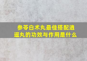 参苓白术丸最佳搭配逍遥丸的功效与作用是什么