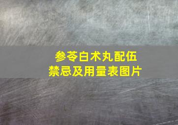 参苓白术丸配伍禁忌及用量表图片