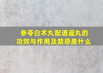 参苓白术丸配逍遥丸的功效与作用及禁忌是什么