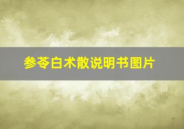 参苓白术散说明书图片