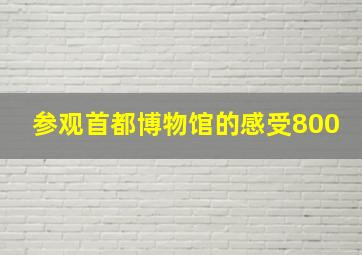 参观首都博物馆的感受800