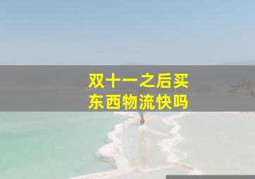 双十一之后买东西物流快吗