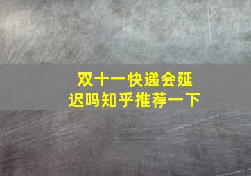 双十一快递会延迟吗知乎推荐一下