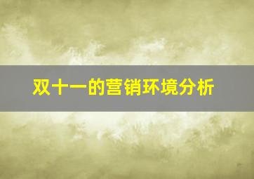 双十一的营销环境分析